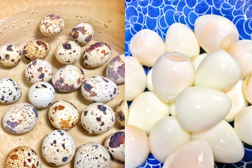 1個番茄，2勺番茄醬，教你做酸甜味美的茄汁虎皮鵪鶉蛋，零失誤休閑食品